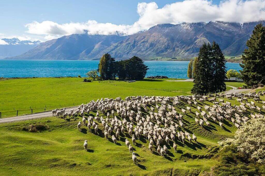 new-zealand-happiest-countries-in-the-world-2022