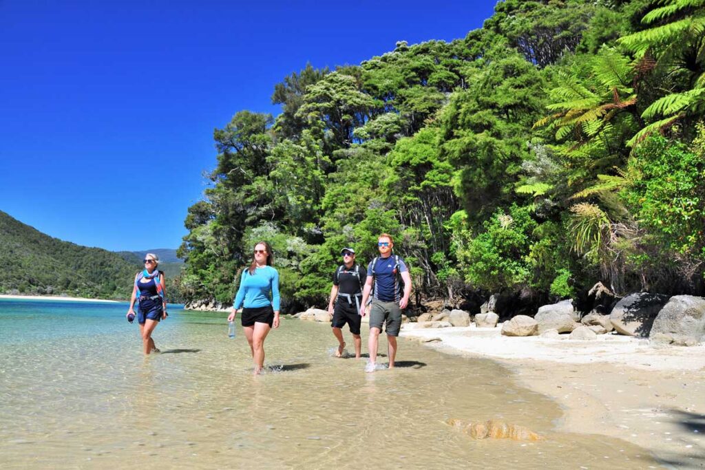 Abel-Tasman-Coast-Hiking