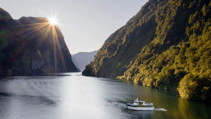 New-Zealand-landscape