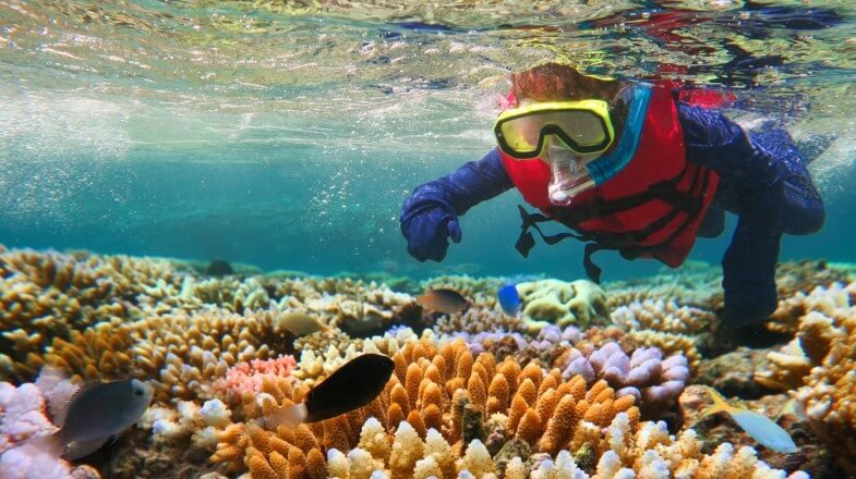 great-barrier-reef-snorkelling