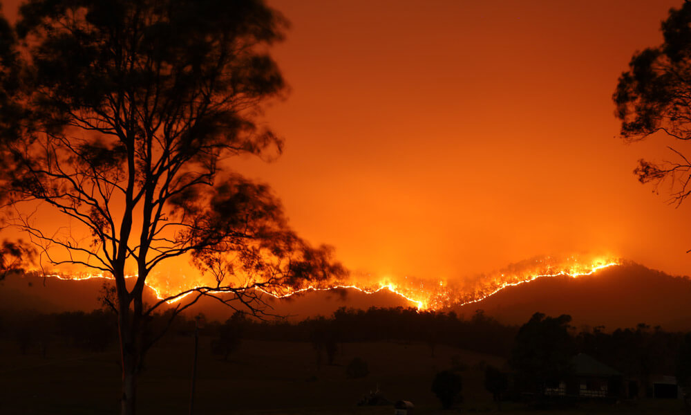 2019-Bushfire