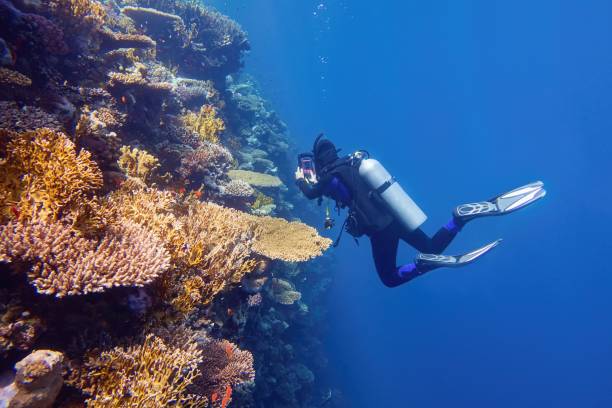 Scuba-Diving-in-Great-Barrier-Reef