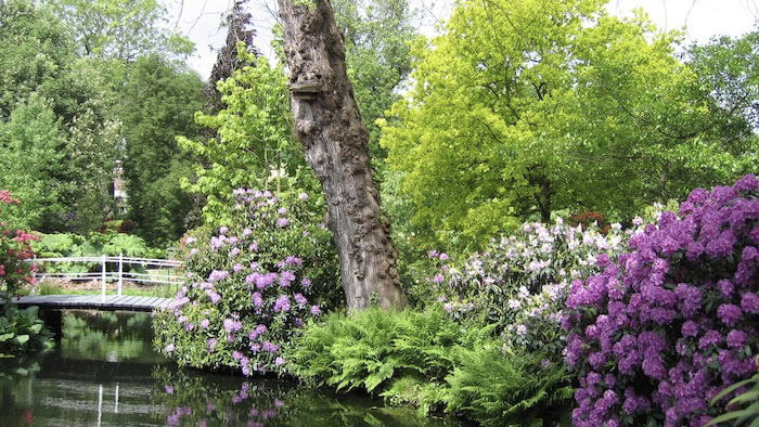 Trompenburg-Tuinen-Arboretum