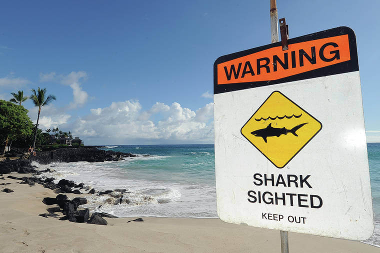What-Is-The-Most-Dangerous-Beach-In-Australia?