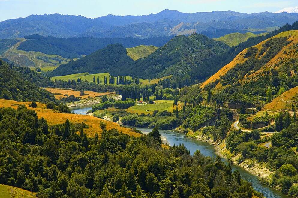 whanganui-river-road-new-zealand 