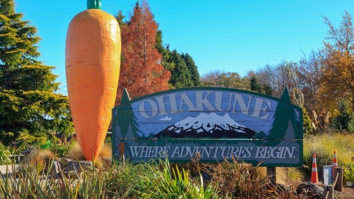 Ohakune-Carrot-best-things-to-do