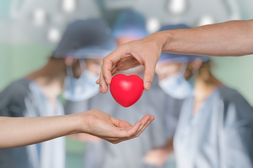 Netherlands-organ-donation