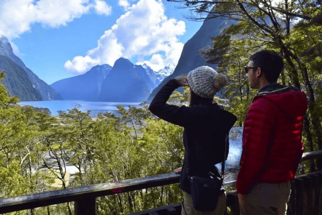 The-Lookout-Track-in-Milford-Sound