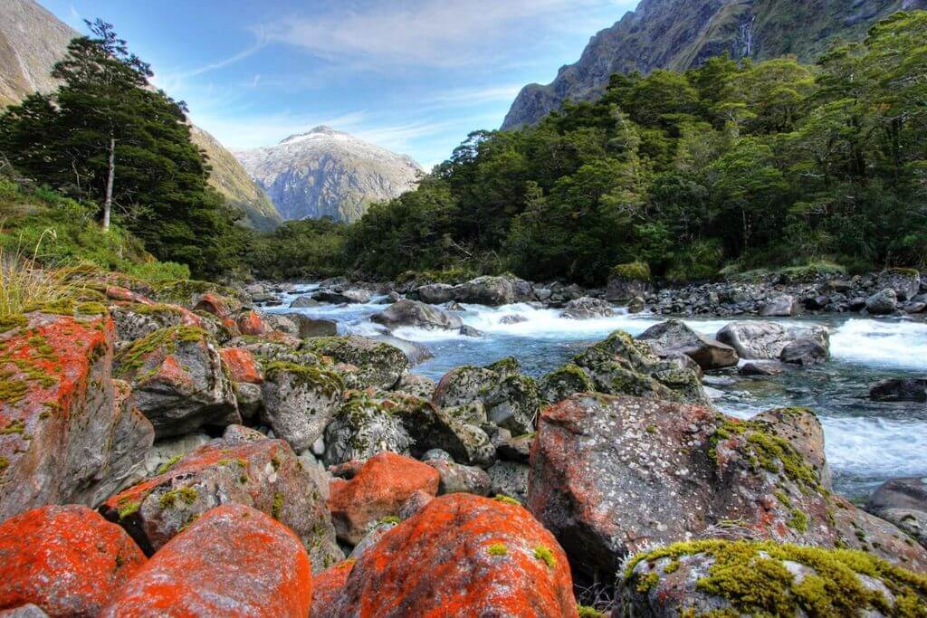 The-Hollyford-Track