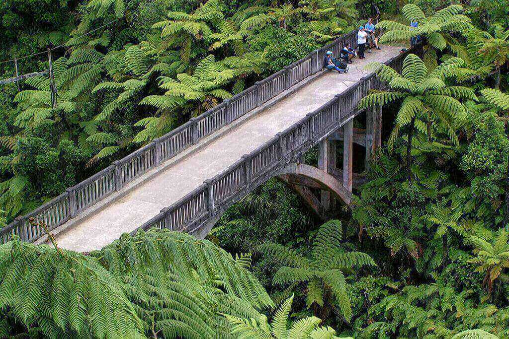 Bridge-to-Nowhere-in-NZ