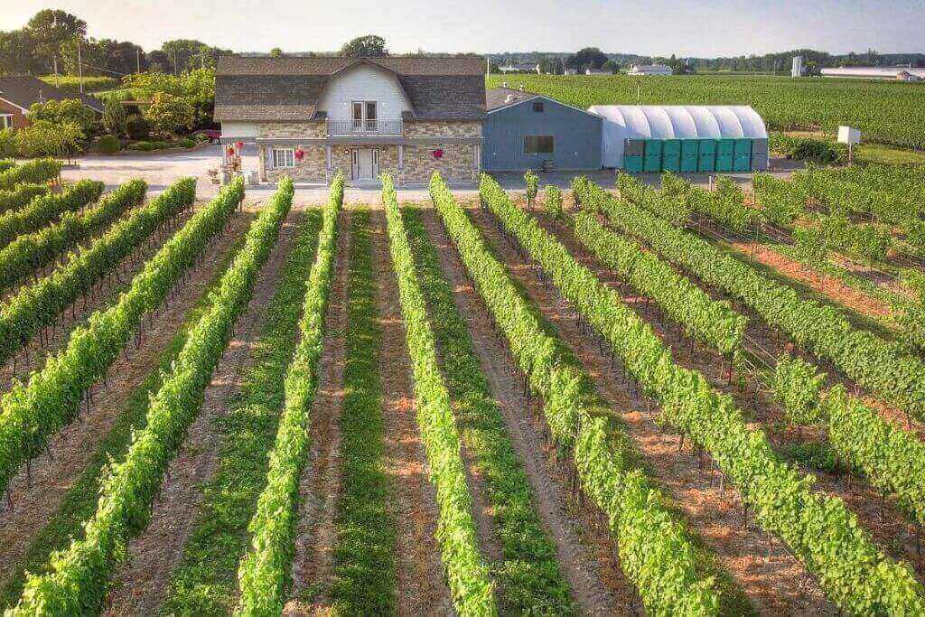 Rancourt-Winery-Vineyard-Ontario