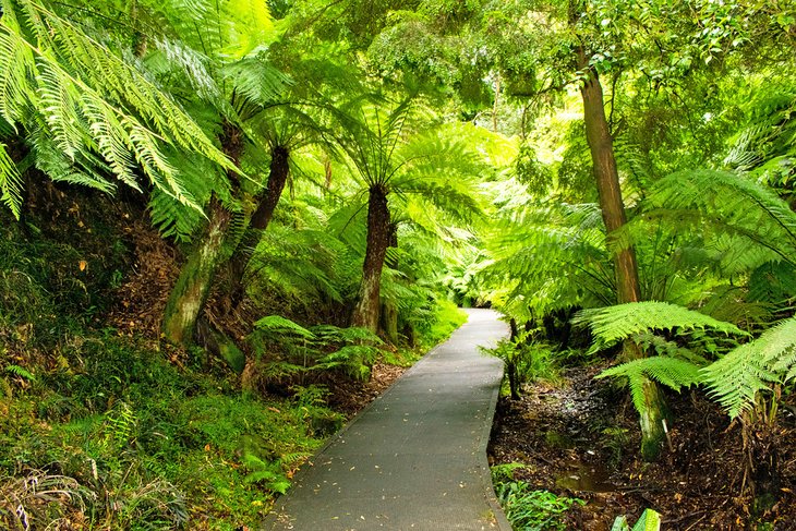 australian-national-botanic-gardens