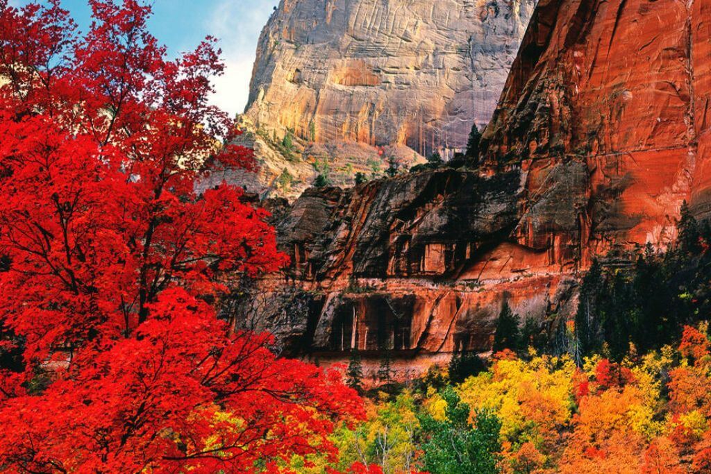 zion-during-fall