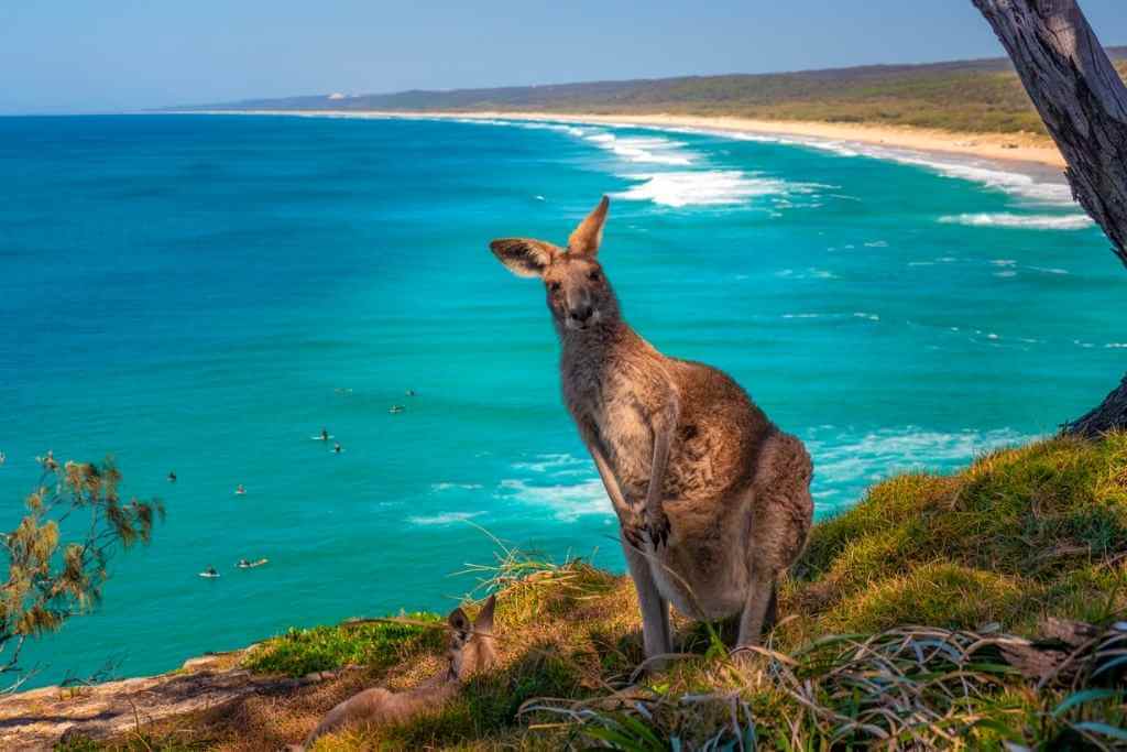 Kangaroo-Island