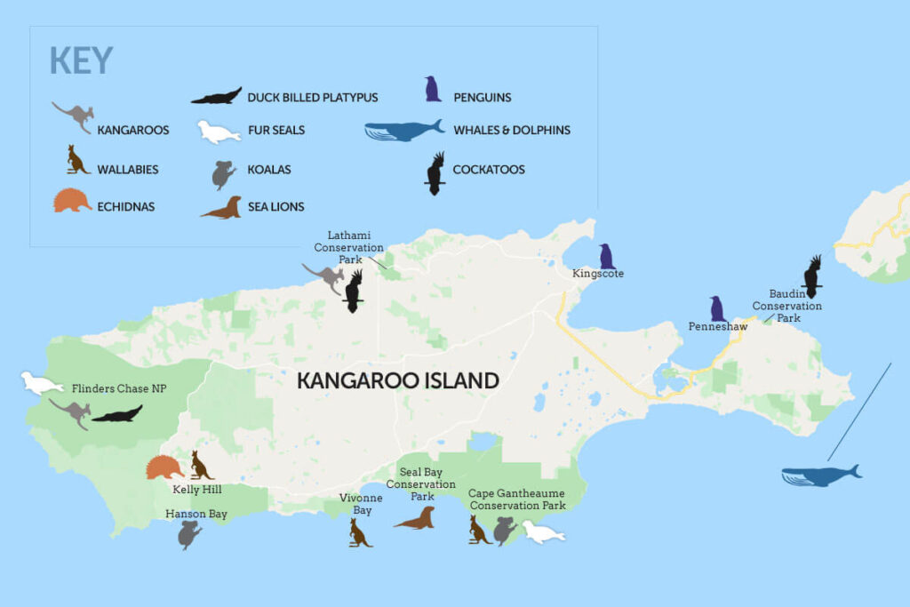 Map-Of-Kangaroo-Island