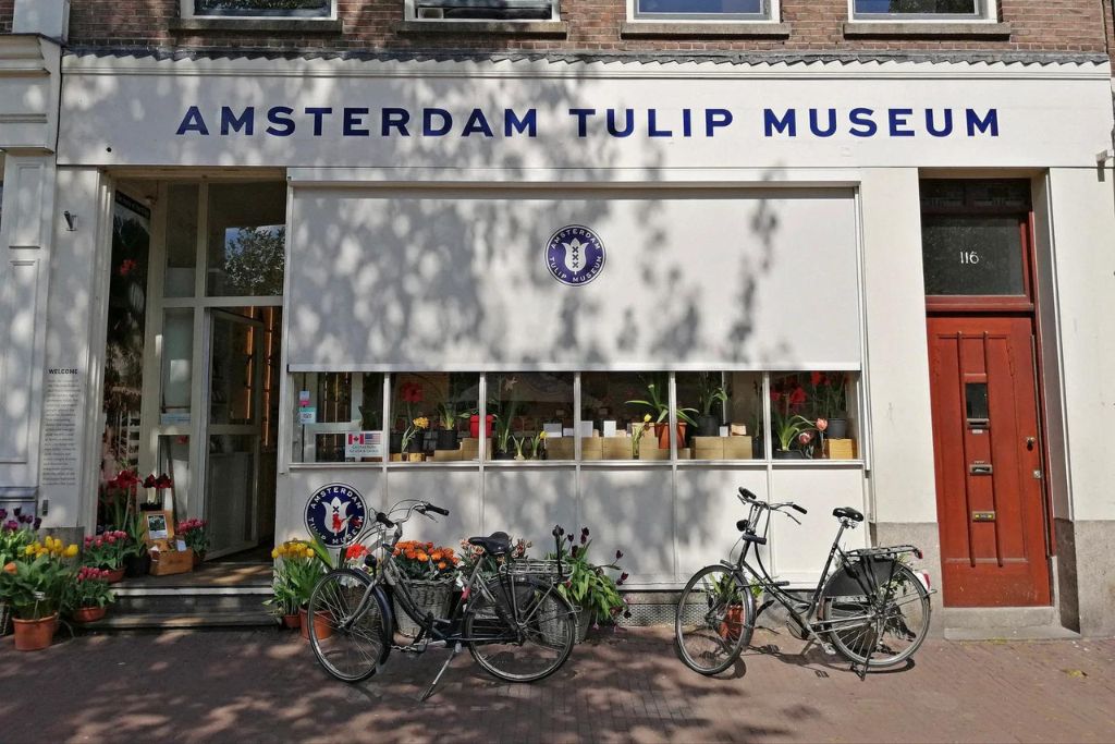 amsterdam-tulip-museum-near-anne-frank-house