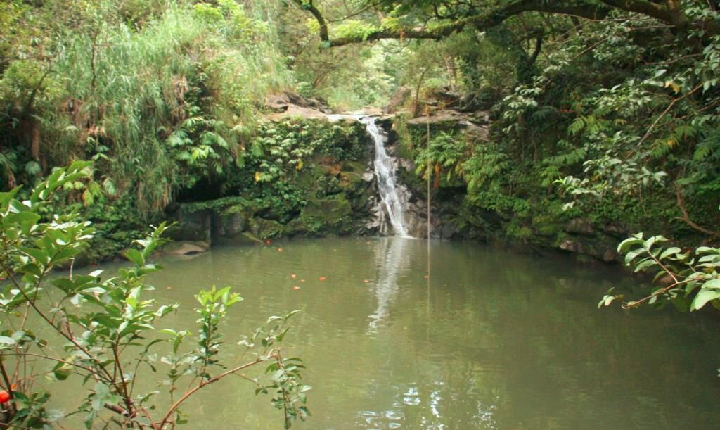 Waikamoi-Falls