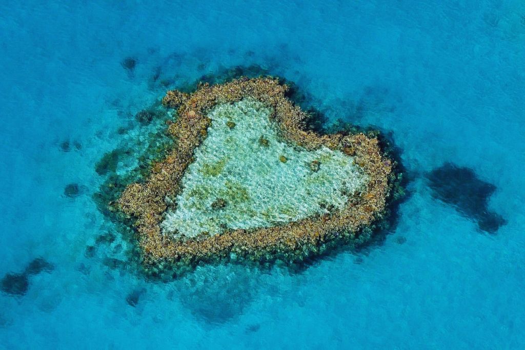 the-heart-reef