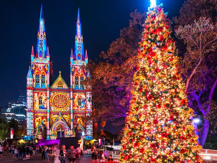 st-marys-cathedral-Christmas-Light-Sydney