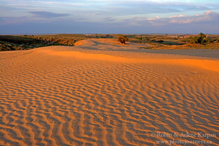 Douglas-Sand-Dunes-in-saskatchewan