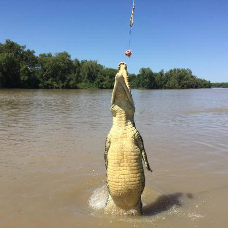 Adelaide-River-Jumping-Crocodile-Cruise 