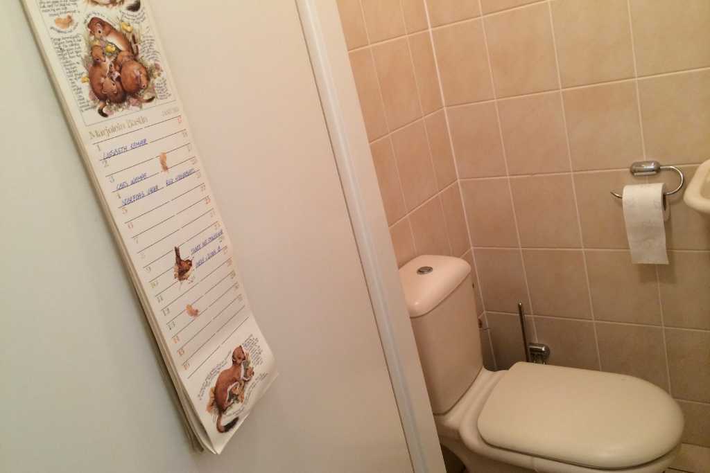 calendar-in-toilet