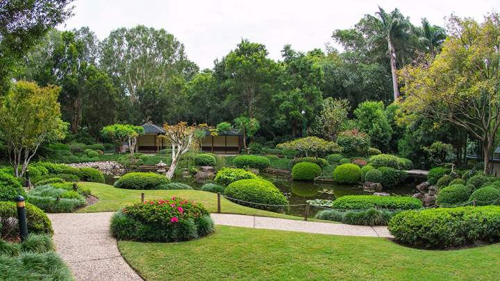 Mount-Coot-tha-Botanic-Gardens 
