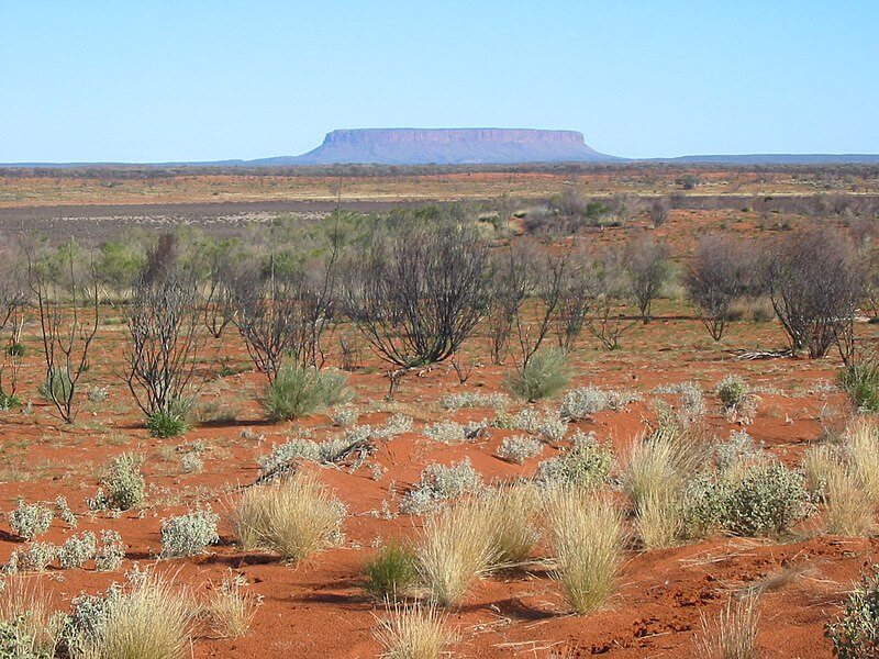 The-Outback