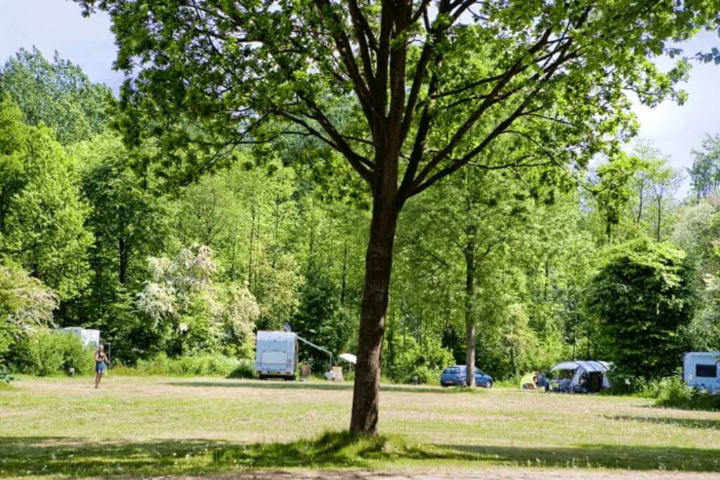 Dasselaar-Camping-Netherlands