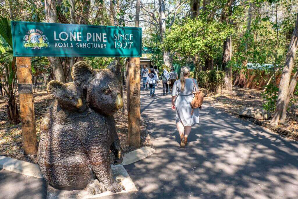Lone-Pine-Koala-Sanctuary