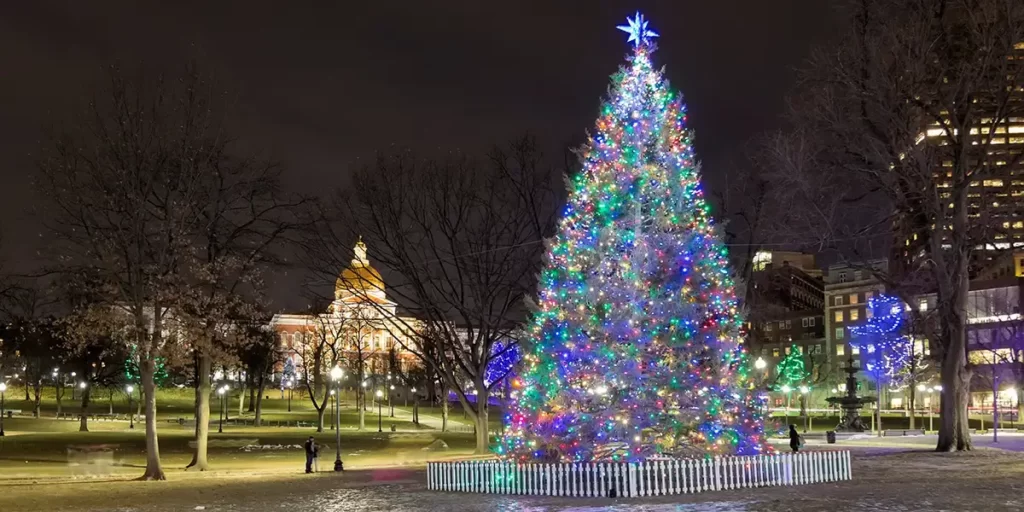 Christmas-tree-Nova-Scotia