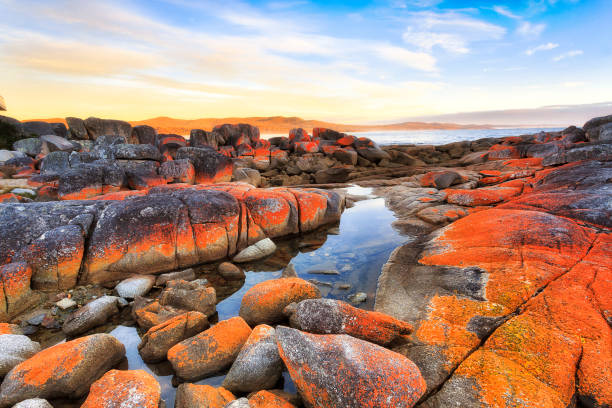 orange-rocks-tasmania