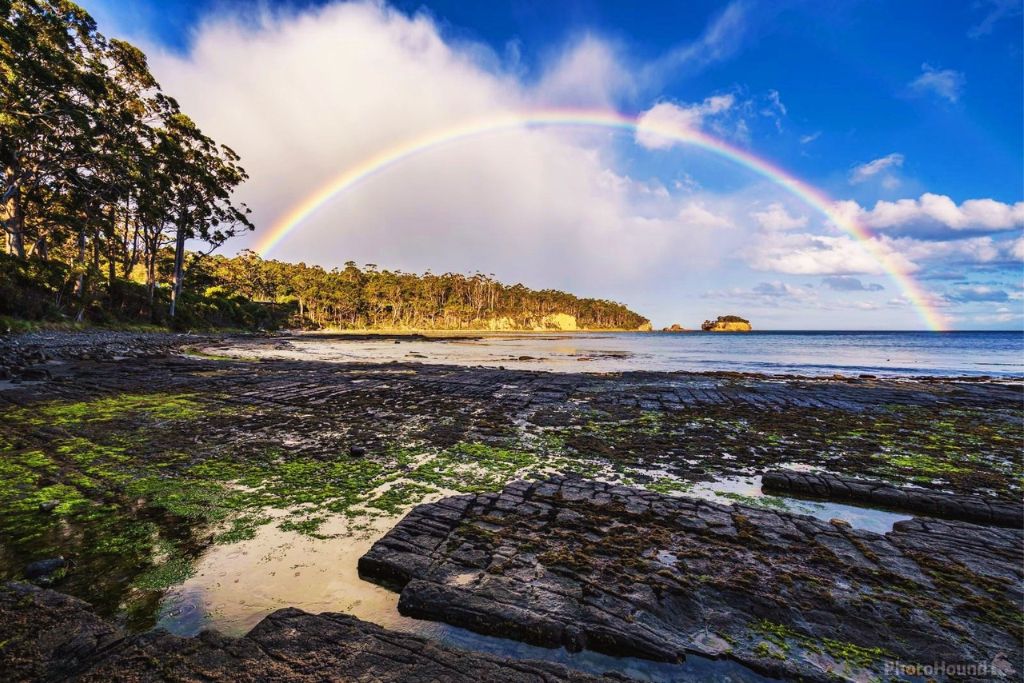 rainbow-spotted-at-tessellated-pavement-tasmania
