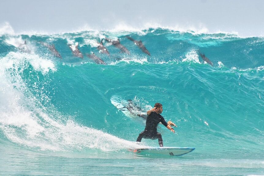 surfing-australia