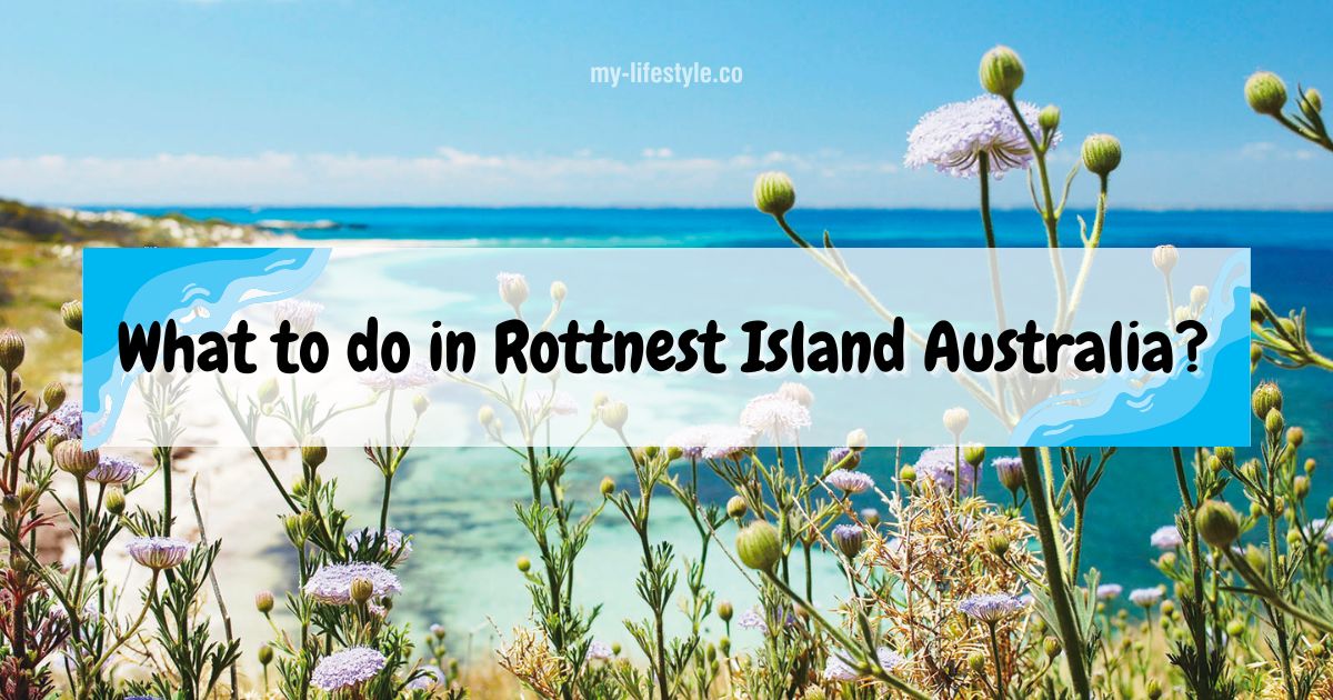 rottnest-island