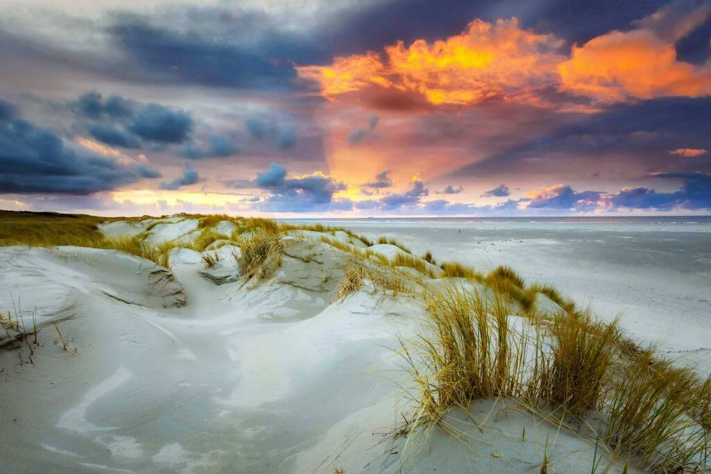 Dunes-of-Texel-National-Park