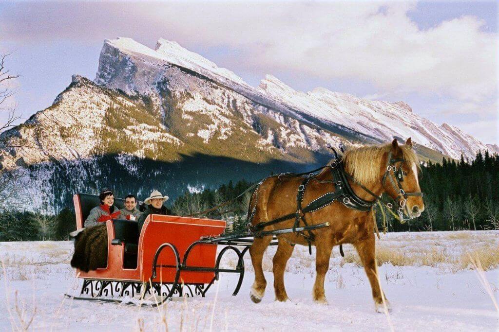 horse-drawn-sleigh