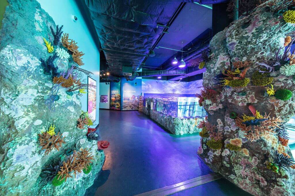 things-to-do-in-Cairns-Aquarium