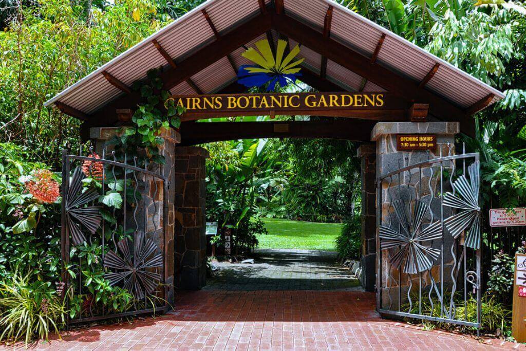 things-to-do-in-Cairns-Botanic-Gardens