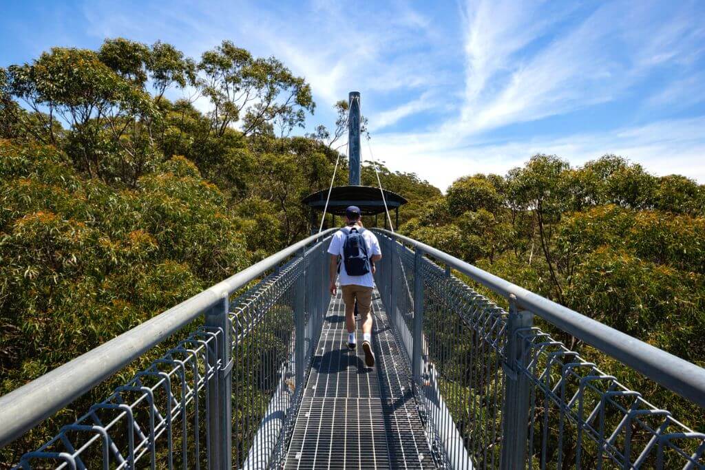 Wollongong-Illawarra-Fly-Treetop