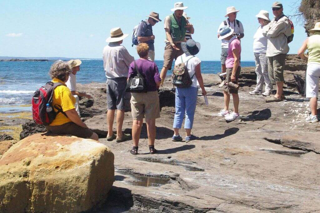 gondwana-coast-fossil-walk