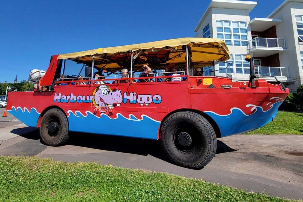 Harbour-Hippo