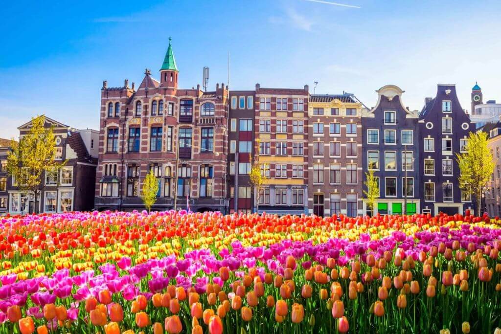 tulip-festival-amsterdam-2023