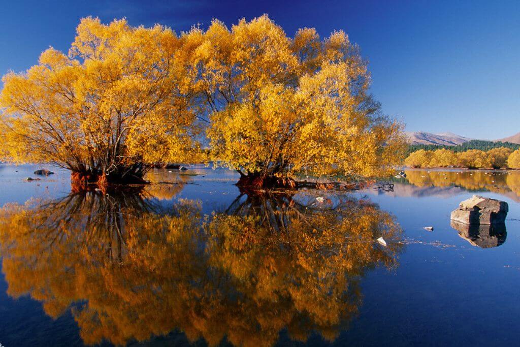 lake-tekapo-autumn