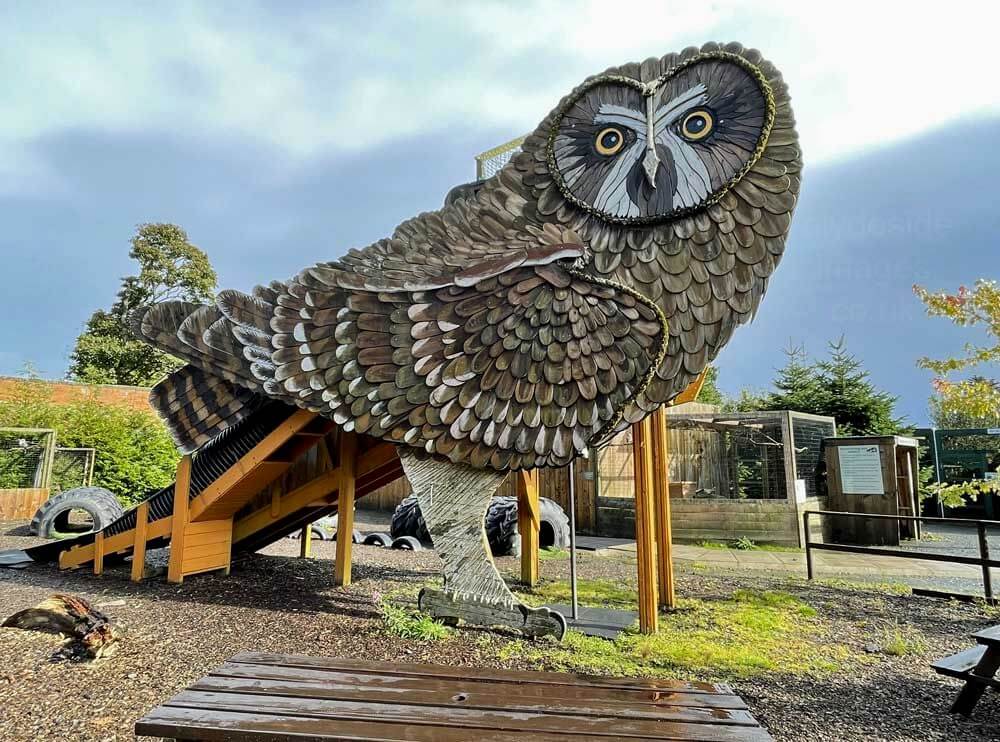 Scottish-Owl-Centre