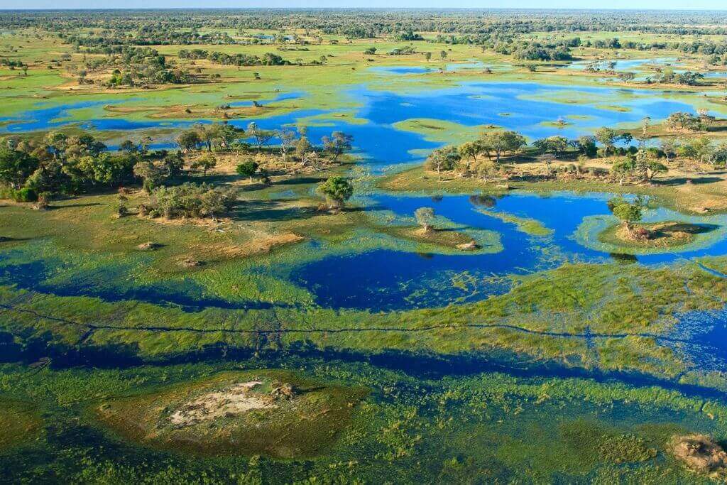 The Okavango Delta Namibia