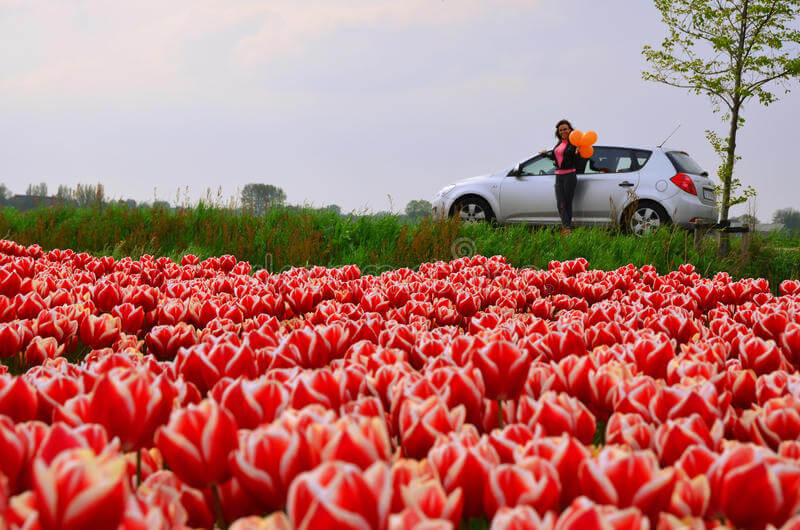 The 3 Most Beautiful Tulip Routes Near Amsterdam