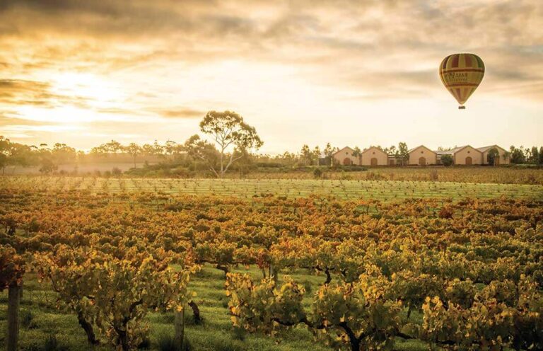The-Top-7-Wine-Regions-In-Australia