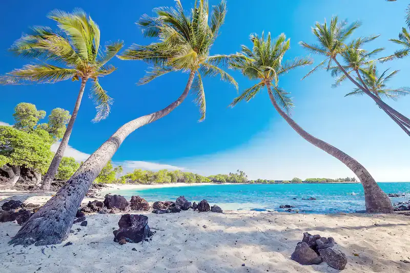 Hawaiian-island