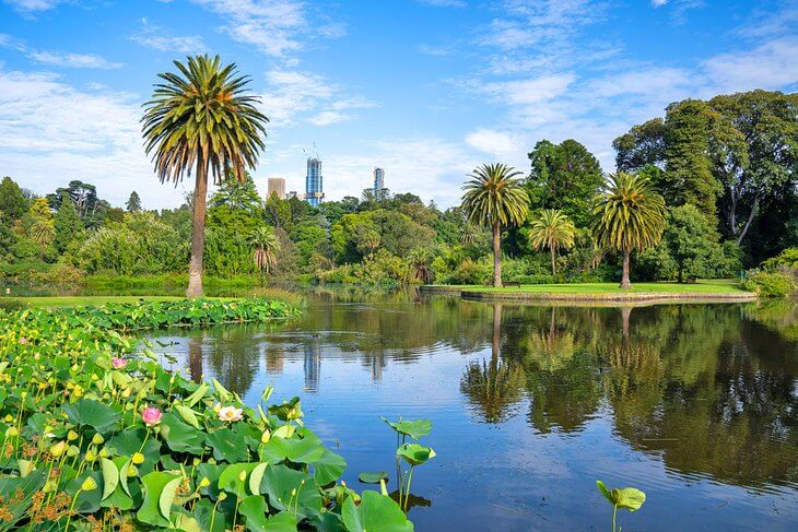Royal-Botanic-Gardens-tourist-attractions-places-to-visit-in-Melbourne